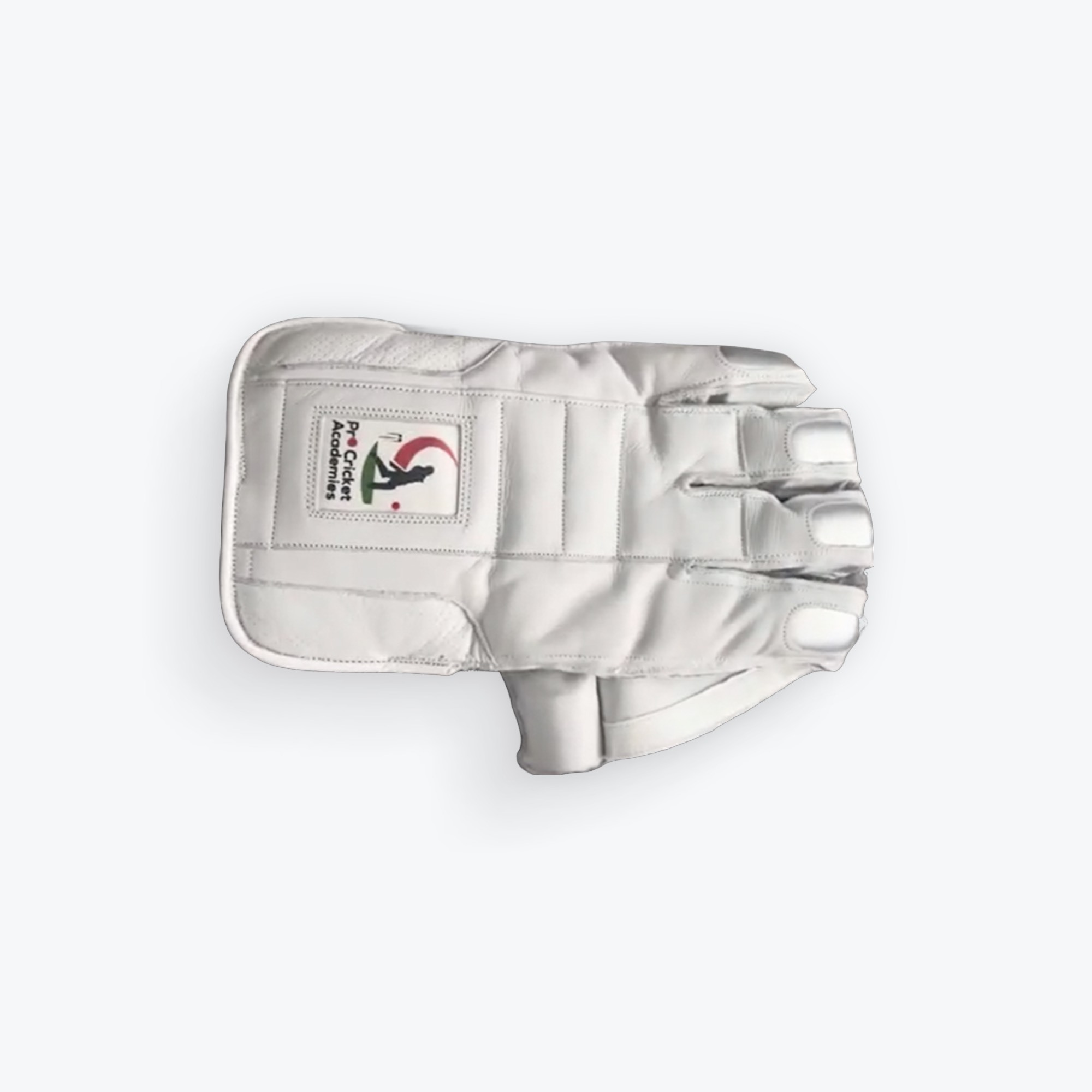Wicket Keeping Gloves - Image 3