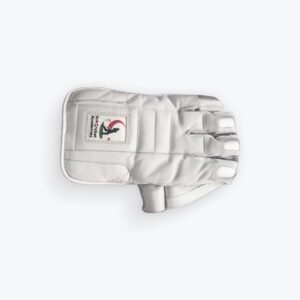 Wicket Keeping Gloves